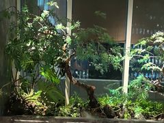 -海立阁海鲜江浙菜(漕河泾印象城店)
