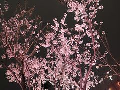 -西安创业咖啡街区