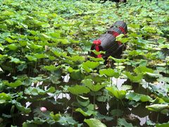 -绍兴鉴湖君澜大酒店