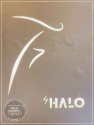 -Halo FLY运动空间