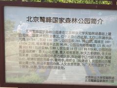 -北京鹫峰国家森林公园