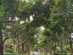 -五缘湾湿地公园