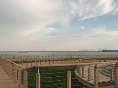-东疆建设开发纪念公园