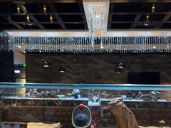 -红辣椒·川菜·火锅(大洋中心店)