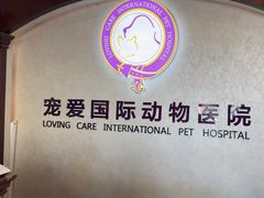 -宠爱国际动物医院·疑难骨科·心肾内科·皮肤科(太阳宫店)