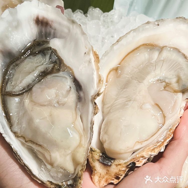 深圳美食|四季椰林椰子鸡配大生蚝!太美味啦