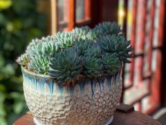 -崇圣寺三塔文化旅游区