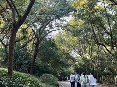 -南京市江宁方山