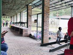 -田野绿世界