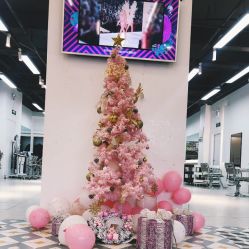-ASA HAIR SALON