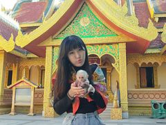 -西双版纳勐泐文化旅游区