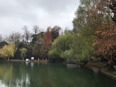 -环城公园-琥珀潭