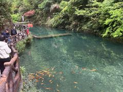 -雁荡山风景名胜区