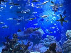 -海合安成都极地海洋公园