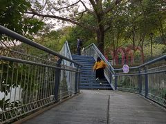 -佛山华盖山公园
