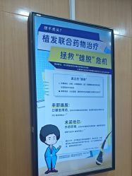 -雍禾植发