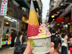 -柠檬车露(卖草地店)