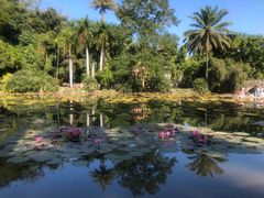 -中国科学院西双版纳热带植物园