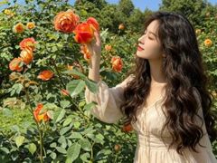 -都江堰玫瑰花溪谷