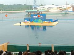 -秦皇岛乐岛海洋王国