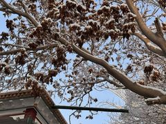 -艾提尕尔清真寺