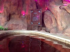 -中家鑫园温泉酒店鑫悦汤泉