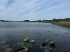 -苏州太湖湖滨国家湿地公园