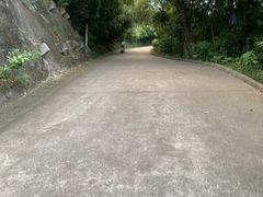 -小南山公园