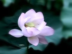 -东方明珠·空中旋转餐厅