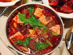 -同庆楼(华强吾悦广场店)