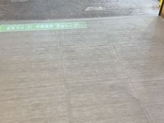 -皮记海鲜1995(寮步店)