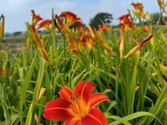 -汉长安城未央宫国家考古遗址公园