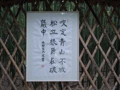 -同里国家湿地公园