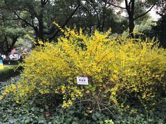 -上海外国语大学(虹口校区)