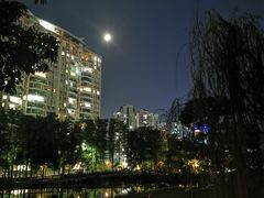 -四海公园(南山区)