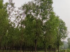 -山西乌金山旅游区