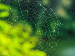 -南京市无想山景区