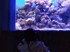 -多彩贵州城极地海洋世界