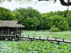 -绍兴东湖风景区