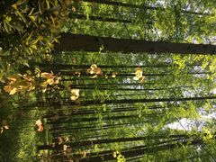 怡沁园度假村-上海怡沁园度假酒店