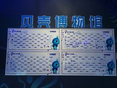 -贝壳梦幻世界