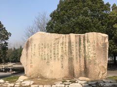 -溱湖国家湿地公园