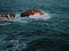 -小麦岛公园