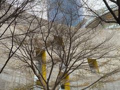 -广州市第二少年宫