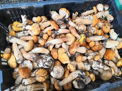 -双喜农庄·菌香园(安居家园店)