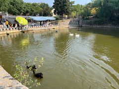 -合肥野生动物园