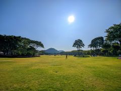 -顺峰山公园