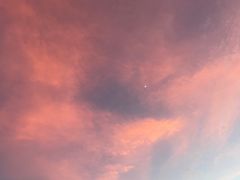 -演武大桥观景平台