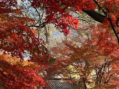 -青岛崂山太清宫
