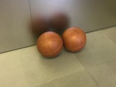 -Apple零售店(深圳益田假日广场店)